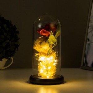 Фигурка световая в колбе RISALUX «Мишка с цветком», LED-ночник, от батареек 3xLR44, 11x11x21 см