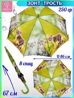Зонт детский трость полуавтомат Котята цвет Пастельно-салатовый (DINIYA)