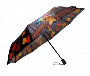 Зонт подростковый ПОЛУавтомат Осень(кот) цвет Серый (DINIYA)