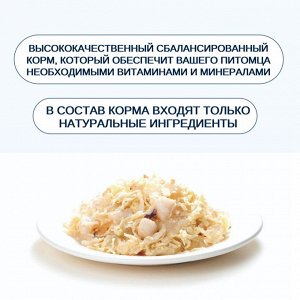 Wanpy Cat Консервы для кошек "Курица с гребешком" 95 г