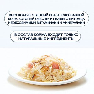 Wanpy Cat Консервы для кошек "Курица с лососем" 95 г