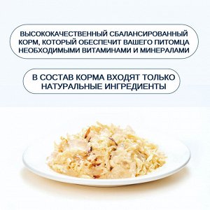 Wanpy Cat Консервы для кошек "Курица с тунцом" 95 г