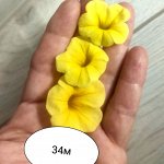 34 м Калибрахоа