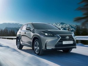 Ковры салонные 3D Lexus NX200 (2014--) правый руль