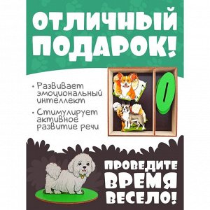 Игровой набор в коробке "Собаки декоративные" 8693/28