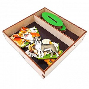 Игровой набор в коробке "Собаки декоративные" 8693/28