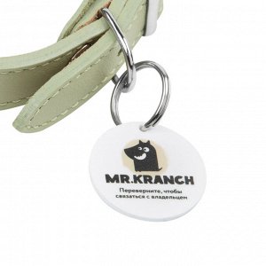 Ошейник Mr.Kranch для собак из натуральной кожи с QR-адресником, 30-35см, нежно-зеленый