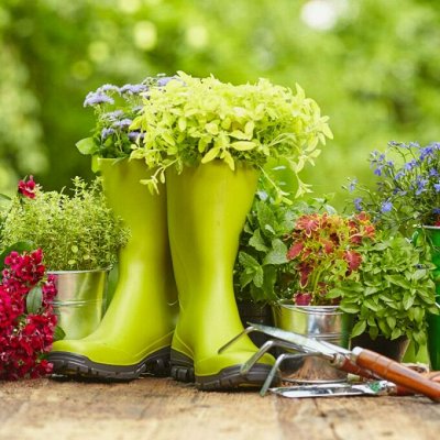 Товары для сада и огорода - Мега Распродажа!💥Экспресс раздача! Скидка ...