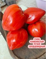 258 &quot; Гном КАМЕНИСТЫЙ РУЧЕЙ            СЕРДЦЕВИДНЫЙ         / Dwarf Stony Brook Heart /&quot;