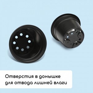 Набор для рассады: стаканы по 500 мл (8 шт.), поддон 40 x 20 см, чёрный, Greengo
