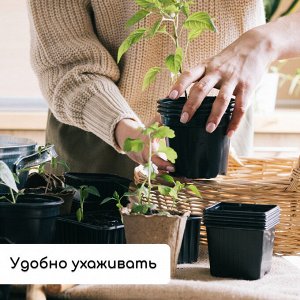 Набор для рассады: стаканы по 500 мл (8 шт.), поддон 40 x 20 см, чёрный, Greengo