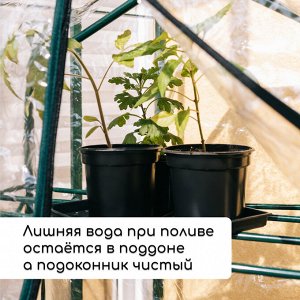 Набор для рассады: стаканы по 500 мл (8 шт.), поддон 40 x 20 см, чёрный, Greengo