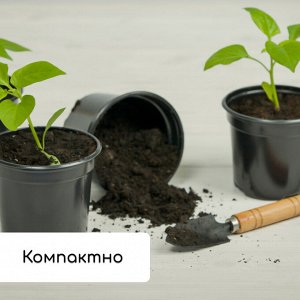 Набор для рассады: стаканы по 500 мл (8 шт.), поддон 40 x 20 см, чёрный, Greengo