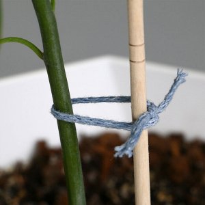 Шнур для подвязки растений,150 м, толщина 2 мм, цвет МИКС, Greengo