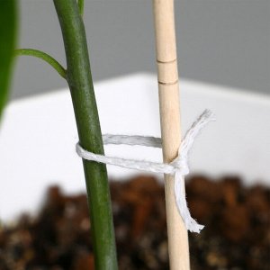 Шнур для подвязки растений,100 м, толщина 2 мм, цвет МИКС, Greengo