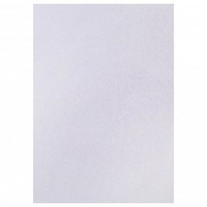 Набор 5 листов, ватман, чертежный, А0, 840x1189, 160 г/м²