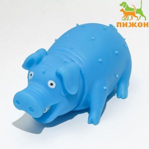 Игрушка пищащая "Весёлая свинья" для собак, хрюкающая, 19 см, голубая 7121460