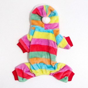 Кoмбинезон "Радуга" с капюшоном, размер XL (ДС 40 см, ОГ 30-40 см, ОШ 30 см).