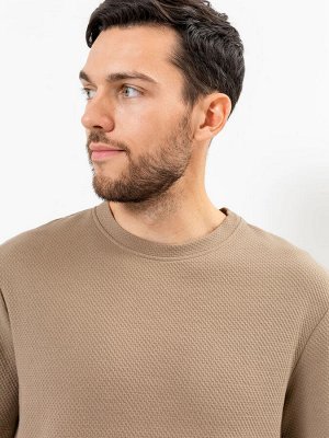 Комплект хлопковый мужской (футболка, шорты) коричневый