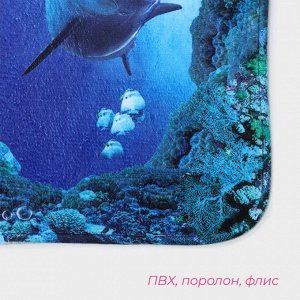 Коврики для ванной и туалета Доляна «Дельфин», 3 шт., 35x39, 40x50, 45x75 см