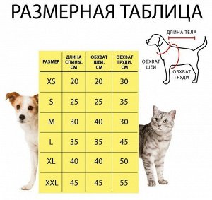 ВЫВОДИМ Куртка для собак, S (ДС 20 см, ОШ 23 см, ОГ 32 см), жёлтая