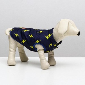 СИМА-ЛЕНД Куртка для собак &quot;Молния&quot;, S (ДС 20 см, ОШ 23 см, ОГ 32 см), тёмно-синяя