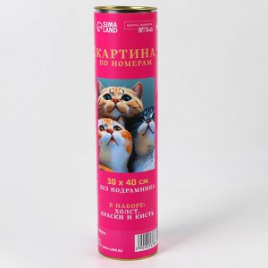 Картина по номерам в тубусе «Котята», 30x40 см