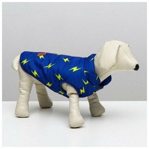 Куртка для собак "Молния", S (ДС 20 см, ОШ 23 см, ОГ 32 см), ярко-синяя