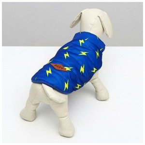 СИМА-ЛЕНД ВЫВОДИМ Куртка для собак &quot;Молния&quot;, S (ДС 20 см, ОШ 23 см, ОГ 32 см), ярко-синяя