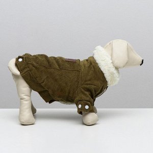ВЫВОДИМ Куртка для собак вельветовая, XS (ДС 19 см, ОШ 19 см, ОГ 30 см), зелёная