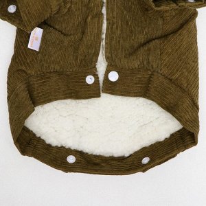 ВЫВОДИМ Куртка для собак вельветовая, XS (ДС 19 см, ОШ 19 см, ОГ 30 см), зелёная