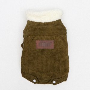 ВЫВОДИМ Куртка для собак вельветовая, XS (ДС 19 см, ОШ 19 см, ОГ 30 см), зелёная