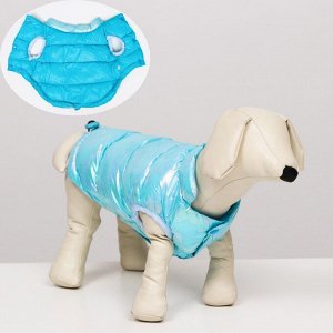 Куртка для собак двухсторонняя с утяжкой,  размер 8 (ДС 23 см, ОГ 30, ОШ22 см), голубая   6968359