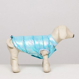 СИМА-ЛЕНД Куртка для собак двухсторонняя с утяжкой,  размер 8 (ДС 23 см, ОГ 30, ОШ22 см), голубая   6968359