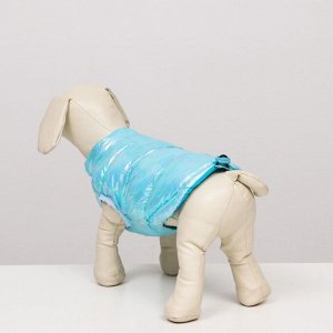 Куртка для собак двухсторонняя с утяжкой,  размер 8 (ДС 23 см, ОГ 30, ОШ22 см), голубая   6968359