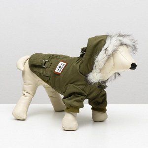 ВЫВОДИМ Куртка для собак с меховым капюшоном, S (ДС 20 см, ОШ 23 см, ОГ 32 см), зелёная