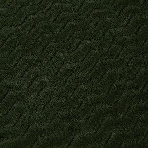 PROVANCE Эвкалипт Плед микрофибра, 180х200см, 300гр/м, зеленый