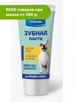 Стоп Проблема Зубная паста 60мл