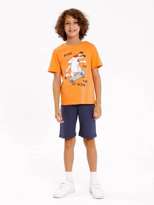 Комплект для мальчиков (джемпер, шорты) в оранжево-серых цветах с печатью