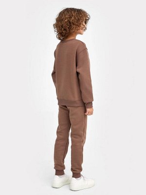 Комплект для мальчиков (джемпер, брюки) таупово-бежевый