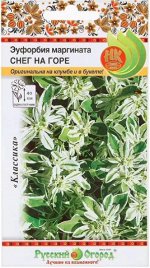 Эуфорбия маргината Снег на горе 0,5г