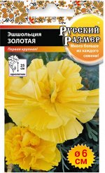 Эшшольция Русский размер Золотая 35шт
