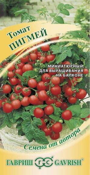 Томат Пигмей комнатный ЦВ/П (ГАВРИШ) 0,05гр ультраскороспелый 25-30 см