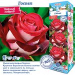 Роза Госпел (Чайно-гибридная) 1шт (Сиб сад)