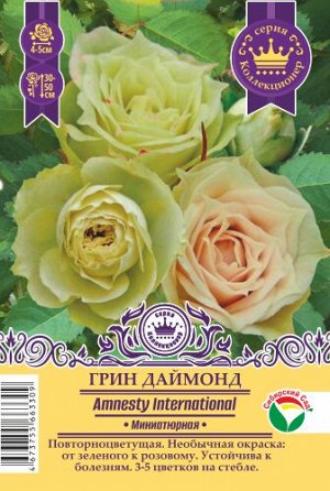 Роза Грин Даймонд (Миниатюрная) 1шт (Сиб сад)