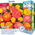 Роза Румбо (Спрей) 1шт (Сиб сад)