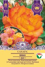 Роза Сахара (Шраб) &quot;Коллекционер&quot; (с этикеткой) 1шт (Сиб сад)