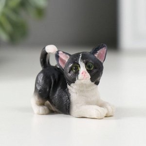 Сувенир полистоун "Чёрно-белый котёнок" МИКС 2,2х3х4,4 см