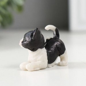 Сувенир полистоун "Чёрно-белый котёнок" МИКС 2,2х3х4,4 см
