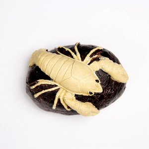 Фигурка полистоун «Рак на камне», 10x6x5 см